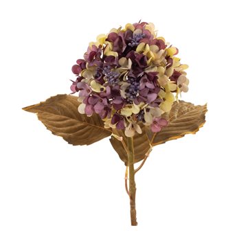 Purple Harvest Hydrangea Stem (Set of 6)