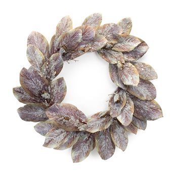 Frosted Magnolia Leaf Wreath 25.5"D