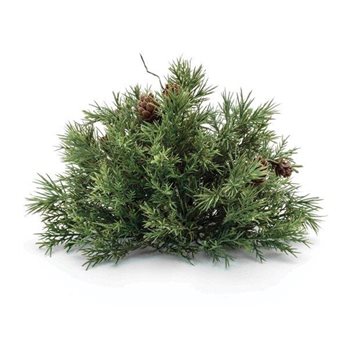 Mixed Pine Half Orb with Pinecones (Set of 2)