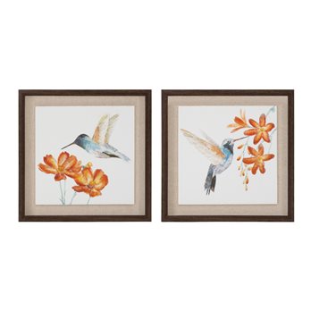 Framed Hummingbird Floral Print (Set of 2)