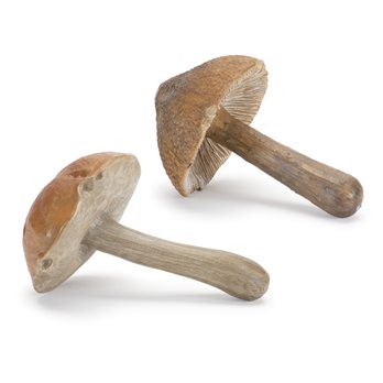 Stone Mushroom Decor (Set of 6)