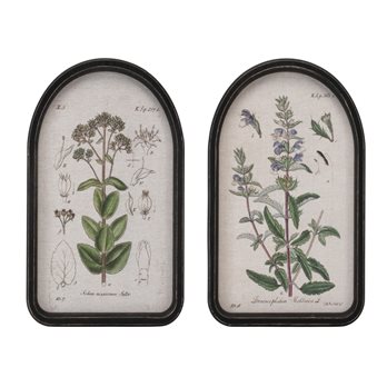 Framed Floral Arch Print (Set of 2)