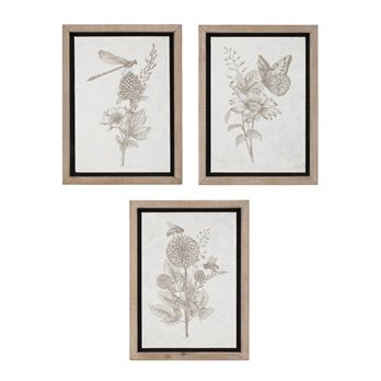 Framed Floral Insect Print (Set of 3)