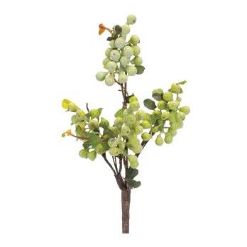 Green Berry Foliage Spray (Set of 6)