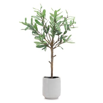 Potted Olive Leaf Topiary 21.5"H