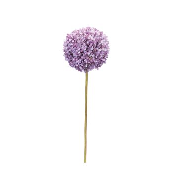 Puple Allium Floral Stem (Set of 6)