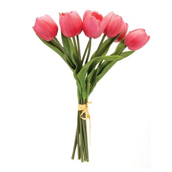 Tulip Floral Bundle (Set of 2)