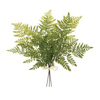 Mixed Fern Foliage Bundle (Set of 2)