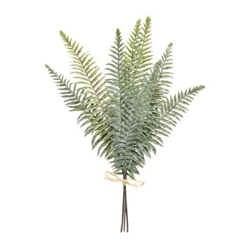 Fern Foliage Bundle (Set of 2)