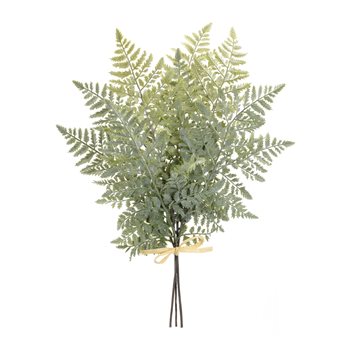 Fern Foliage Bundle (Set of 2)