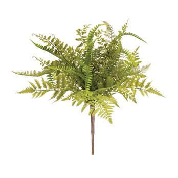 Mixed Fern Foliage Bush (Set of 2)