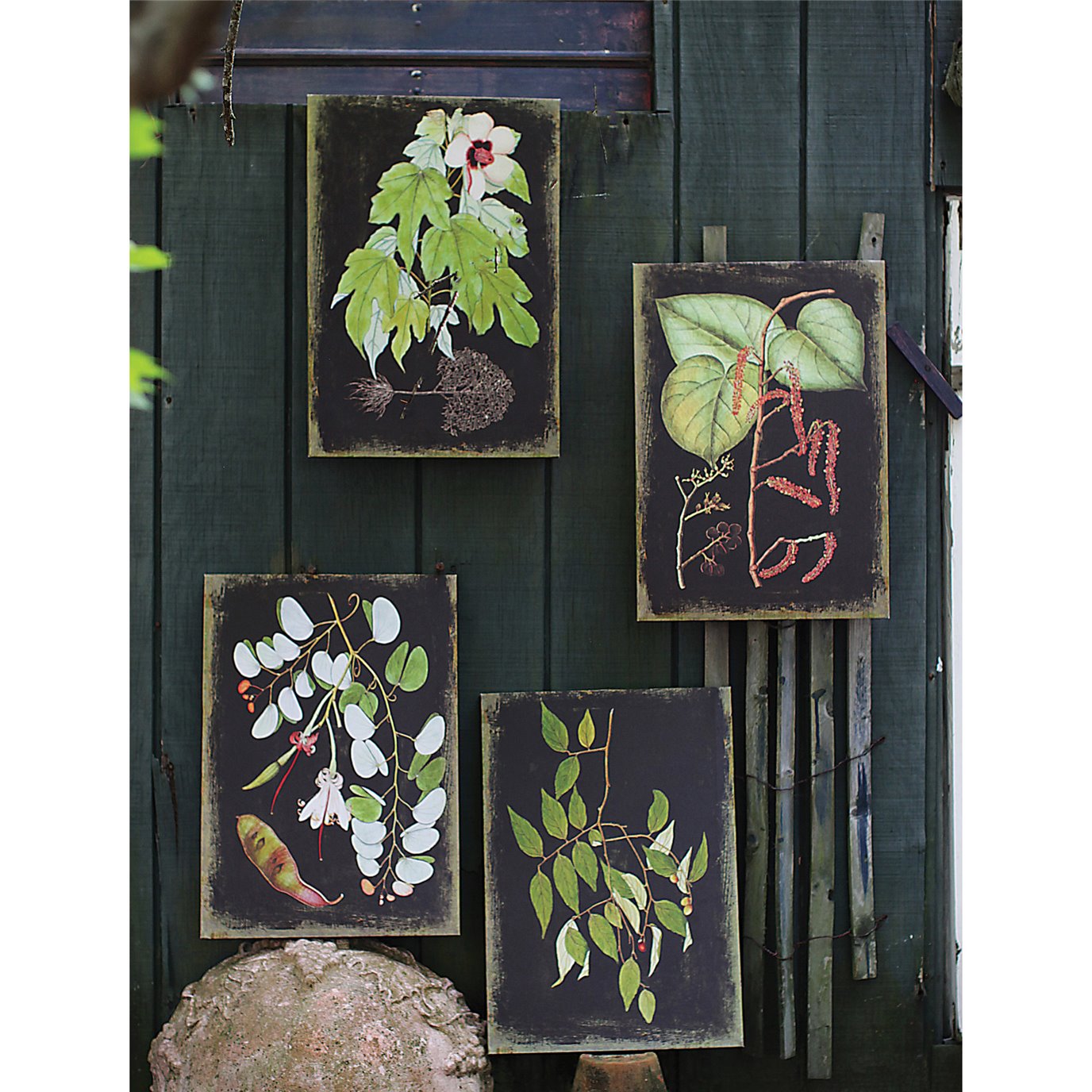 Canvas Wall Prints with Botanicals (Set of 4 Designs) by Creative Co-op