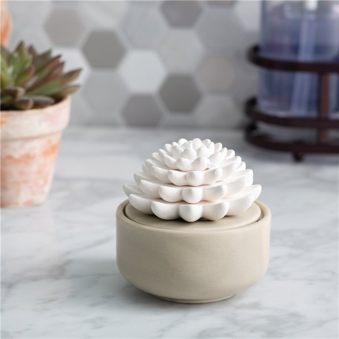 Succulent Porcelain Aroma Diffuser by Airomé