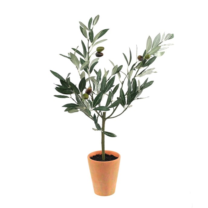 Potted Olive Tree Topiary 22"H Thumbnail