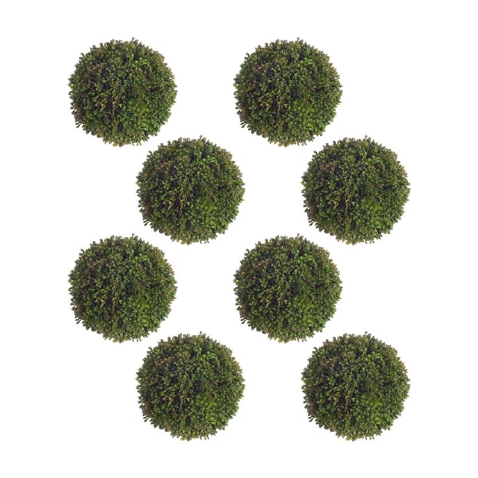 Boxwood Sedum Orb (Set of 8) Thumbnail