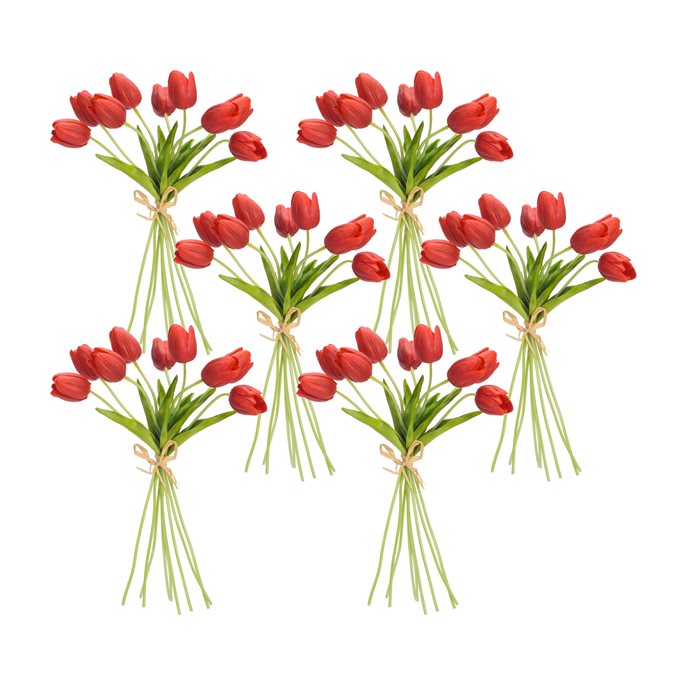 Spring Red Tulip Bundle (Set of 6) Thumbnail