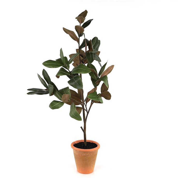 Potted Magnolia Tree Topiary 22"H Thumbnail