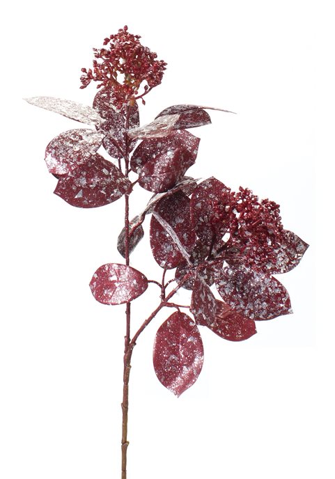 Frosted Burgandy Sedum Spray (Set of 12) Thumbnail