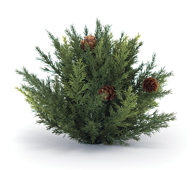 Winter Arborvitae Foliage Half Orb (Set of 2) Thumbnail