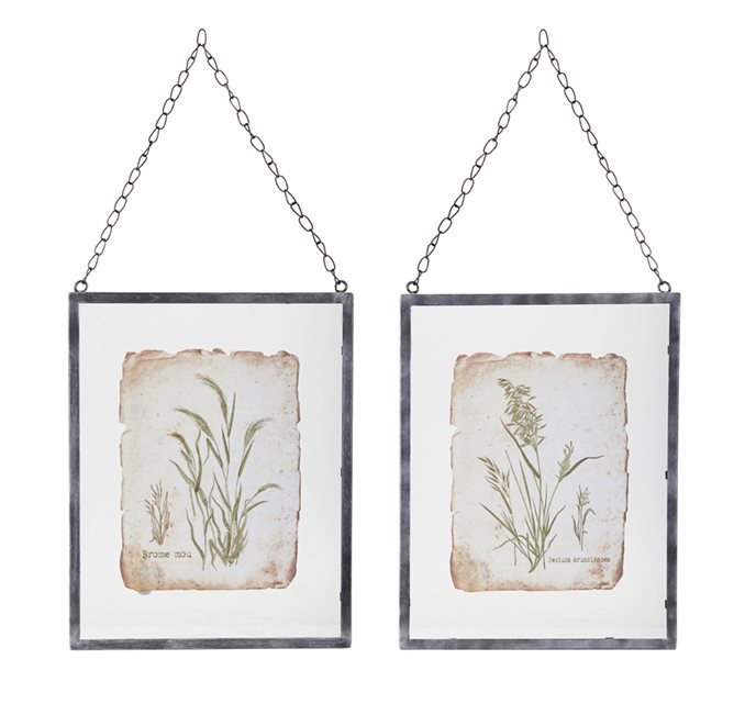 Metal Framed Grass Print Under Glass (Set of 2) Thumbnail