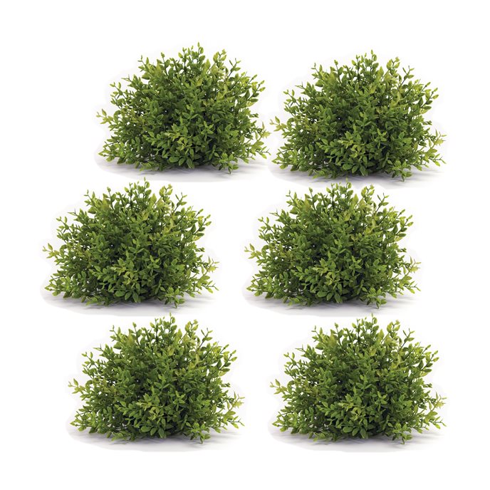 Spring Mini Leaf Foliage Half Orb (Set of 6) Thumbnail