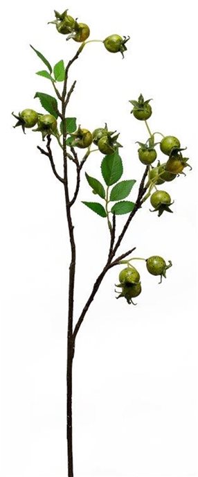 Green Rose Hip Twig Branch (Set of 4) Thumbnail