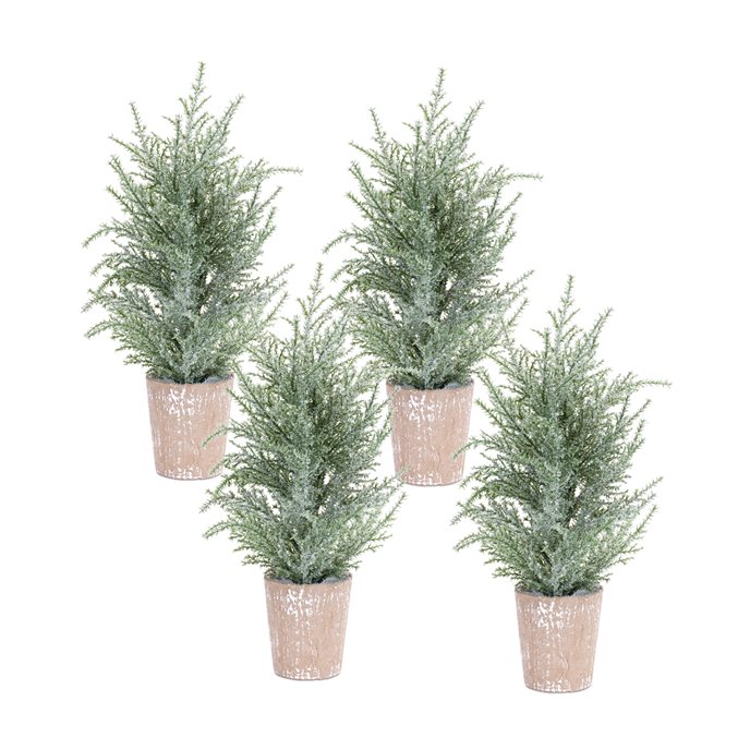 Frosted Holiday Pine Tree in Paper Pot (Set of 4) Thumbnail