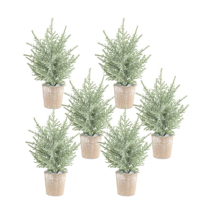 Frosted Holiday Pine Tree in Paper Pot (Set of 6) Thumbnail