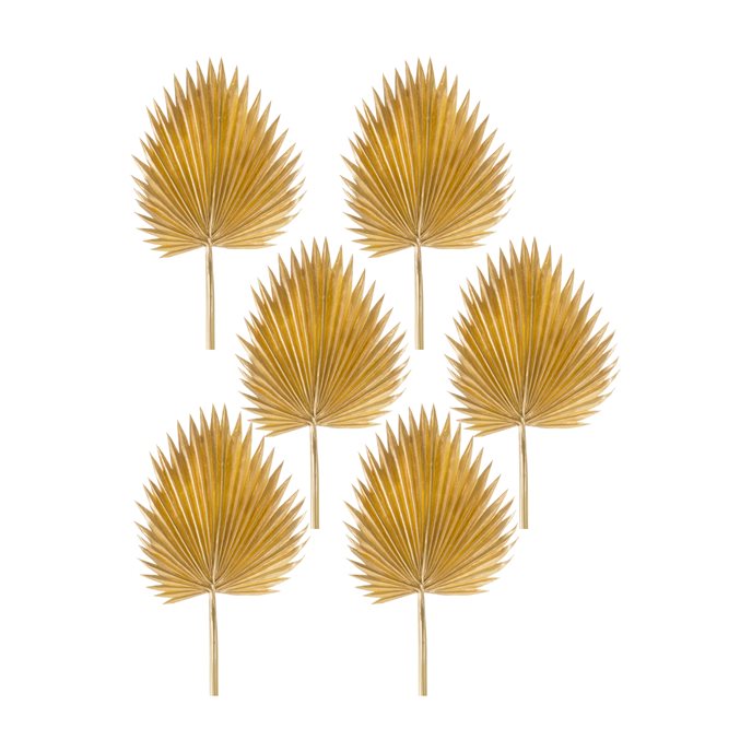 Natural Gold Fan Palm Leaf (Set of 6) Thumbnail