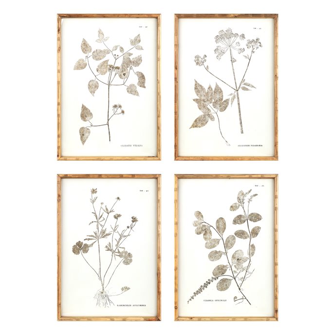 Bamboo Framed Encyclopedia Floral Print Under Glass (Set of 4) Thumbnail