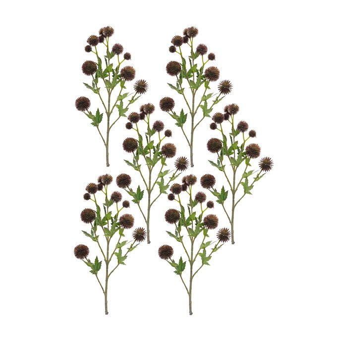 Brown Allium Floral Spray (Set of 6) Thumbnail