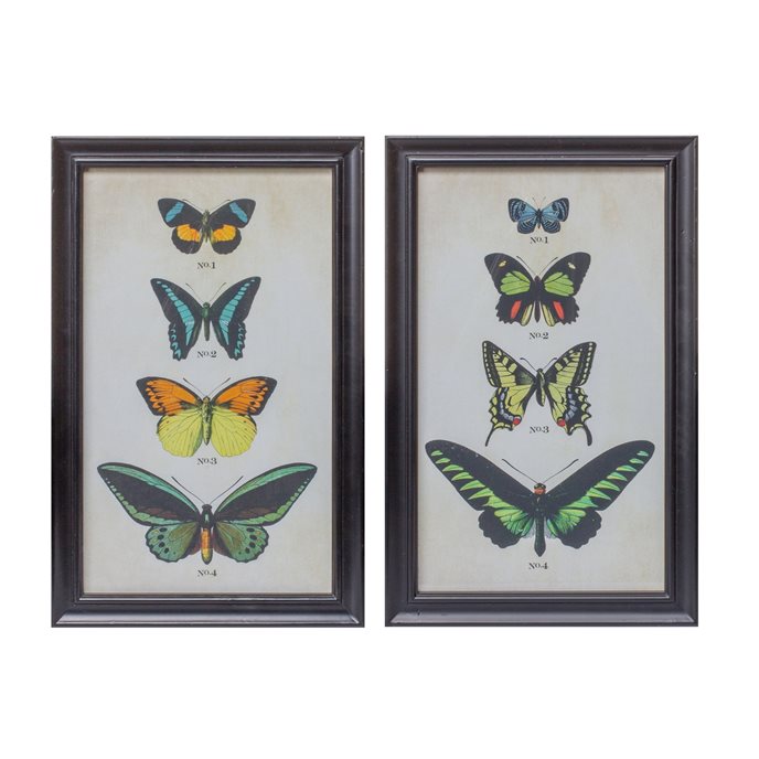 Framed Encyclopedia Butterfly Print Under Glass (Set of 2) Thumbnail