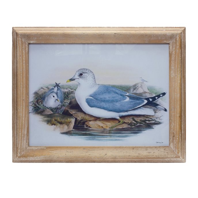 Framed Sea Bird Print Under Glass 16.5"L Thumbnail