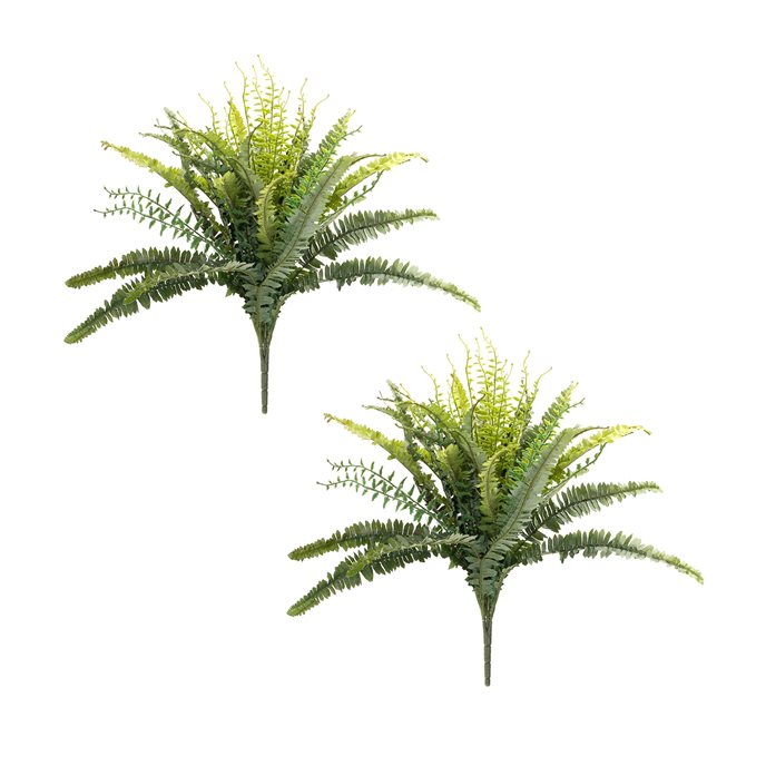 Mixed Fern Foliage Bush (Set of 2) Thumbnail