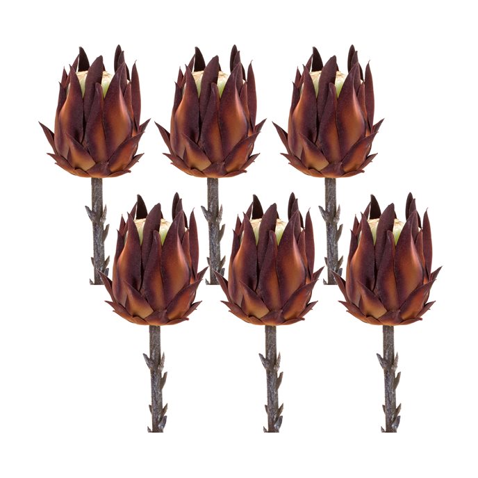 Burgandy Protea Stem (Set of 6) Thumbnail