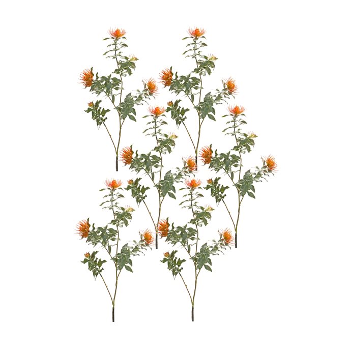 Orange Flocked Protea Spray (Set of 6) Thumbnail