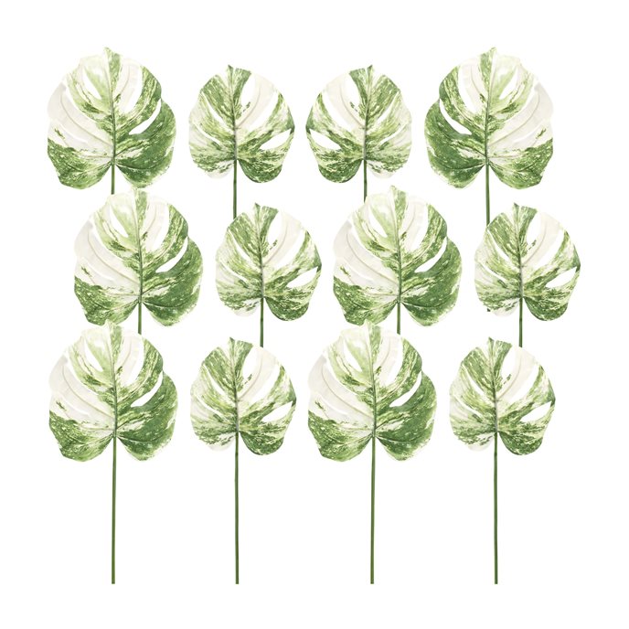 Light Varigated Philo Leaf Stem (Set of 12) Thumbnail