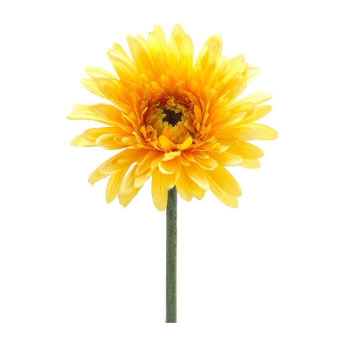 Gerbera Daisy Floral Stem (Set of 6) Thumbnail