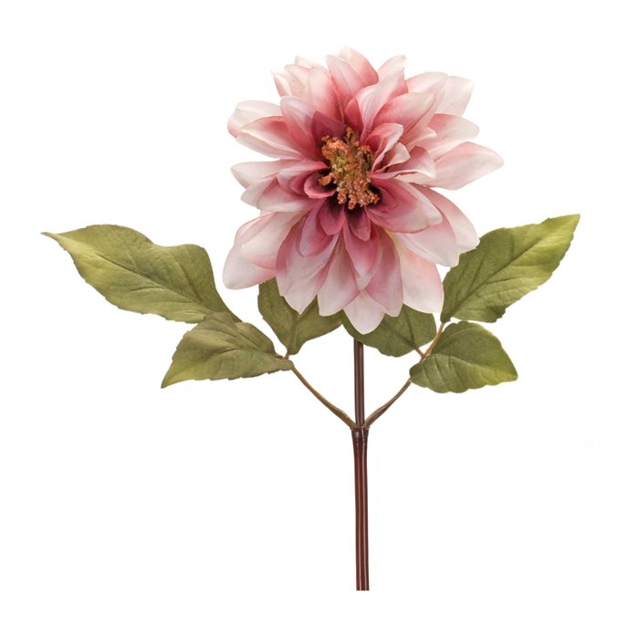 Blush Pink Dahlia Flower Stem (Set of 6) Thumbnail