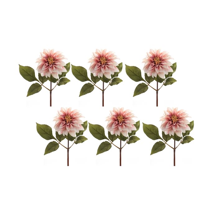 Blush Pink Dahlia Flower Stem (Set of 6) Thumbnail