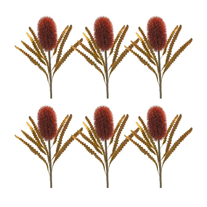 Burnt Orange Banksia Floral Stem (Set of 6) Thumbnail