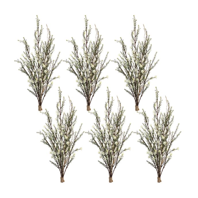 Leptospermum Flower Bundle (Set of 6) Thumbnail