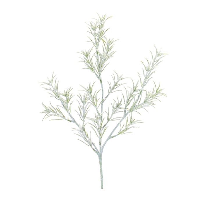 Rosemary Foliage Spray (Set of 6) Thumbnail