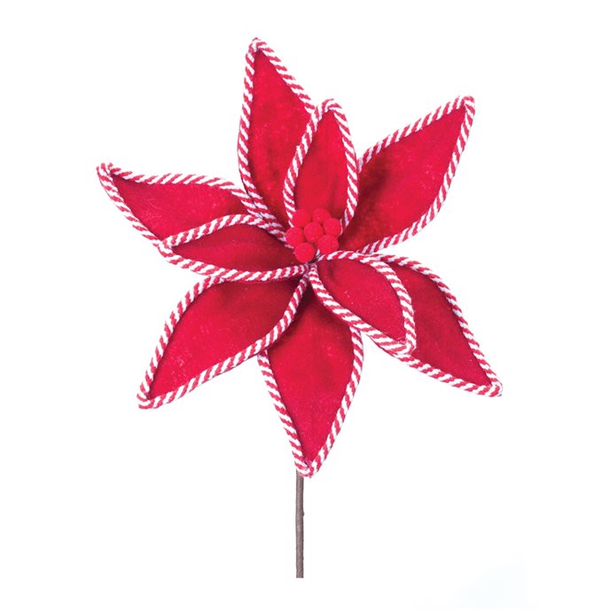 Candy Cane Poinsettia Stem (Set of 6) Thumbnail