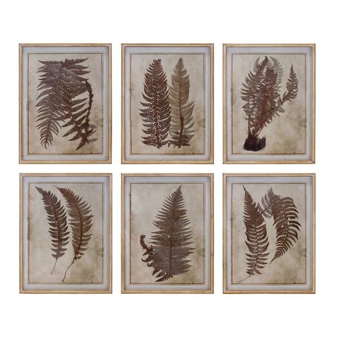 Framed Fern Print (Set of 6) Thumbnail