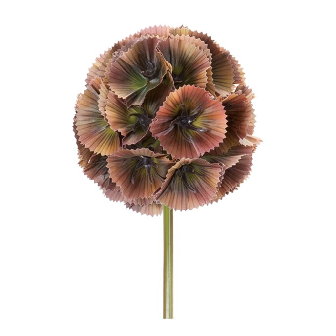 Floral Pod Stem (Set of 6) Thumbnail