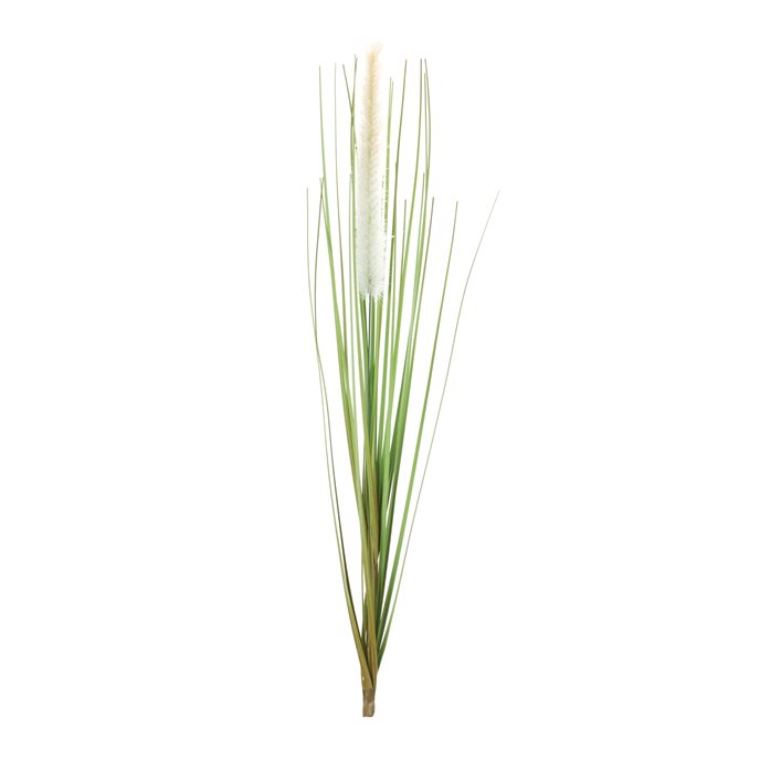 Foxtail Bush (Set of 12) Thumbnail