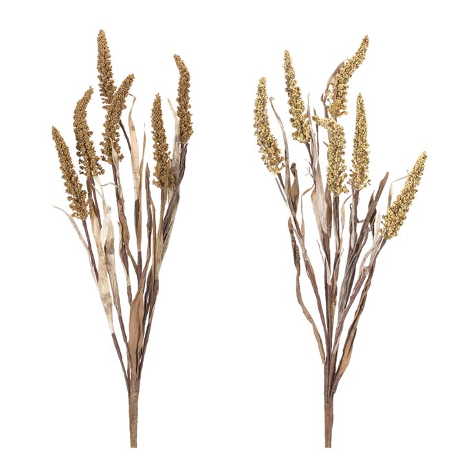 Amaranthus Bush (Set of 2) Thumbnail