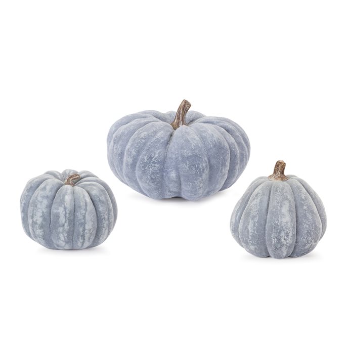 Distressed Pumpkin (Set of 3) Thumbnail