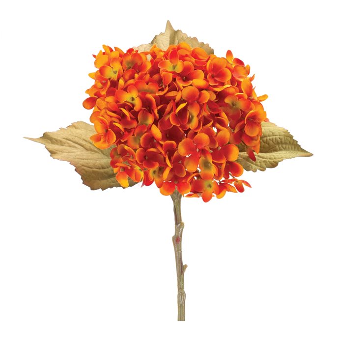 Fall Hydrangea Flower Stem (Set of 6) Thumbnail